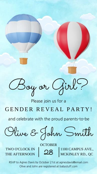 GENDER REVEAL | watercolor hot air balloons Instagram Story template